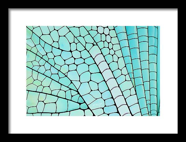 Wings, Framed Print, Wall Décor, Wall Art, Watercolor, Artwork, Art Piece, Patterns, Dragonfly Wing Patterns, Teal Patterns, Turquoise Patterns, Aqua Patterns